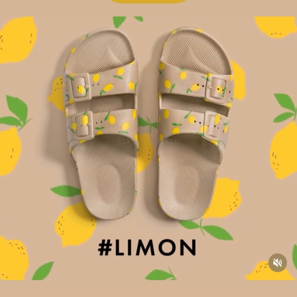 Freedom Moses Limon Slides